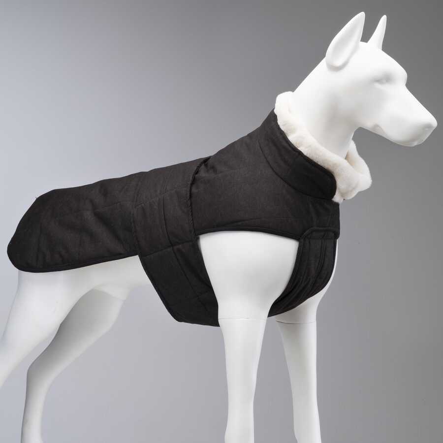 Luxury Plus Black Dog Coat