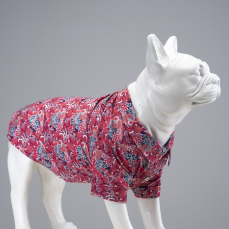 Lindodogs - Marrakech Küçük ve Orta Irk Köpek Gömleği