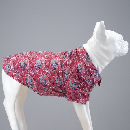 Lindodogs - Marrakech Küçük ve Orta Irk Köpek Gömleği (1)