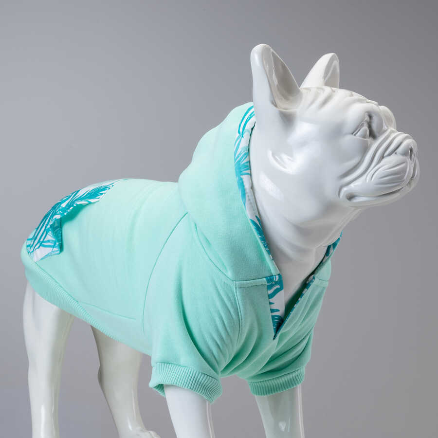 Mint Green Küçük, Orta ve Büyük Irk Köpek Sweatshirt