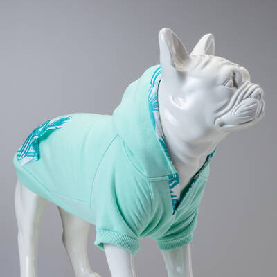 Mint Green Küçük, Orta ve Büyük Irk Köpek Sweatshirt | Lindodogs