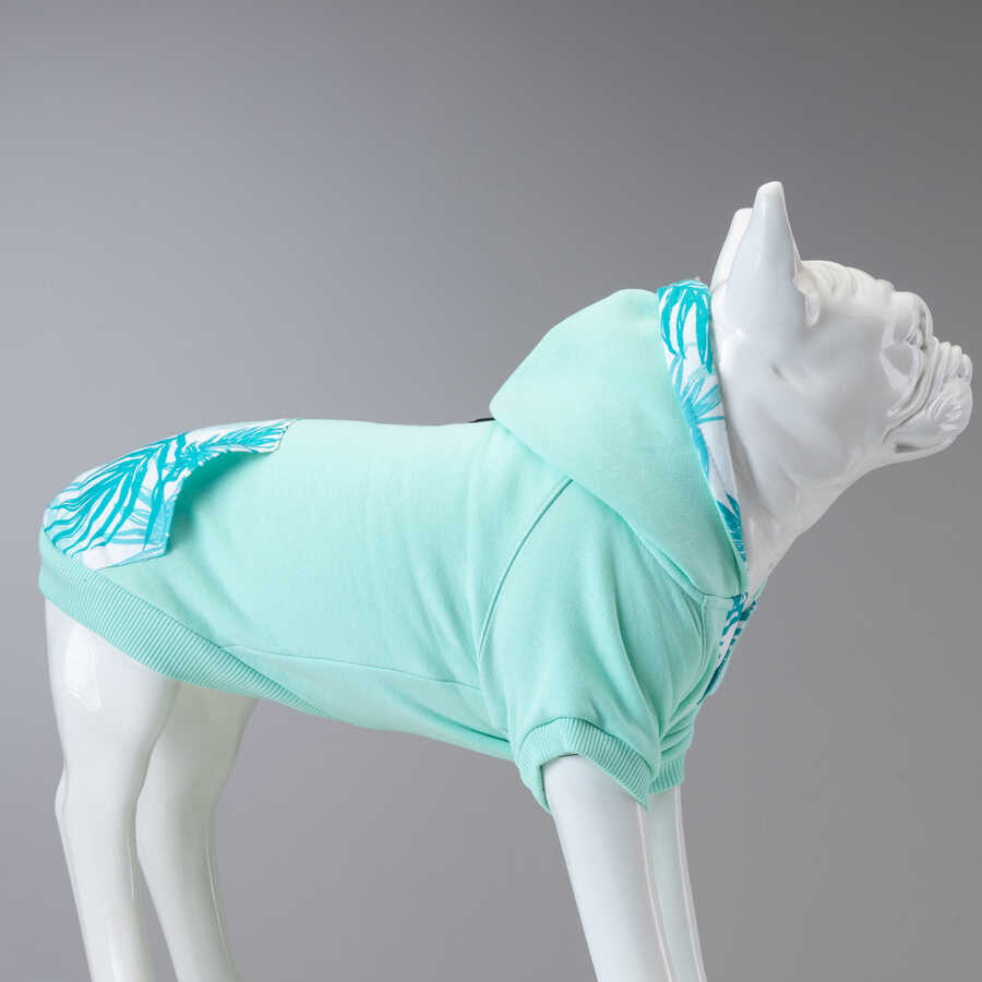 Mint Green Küçük, Orta ve Büyük Irk Köpek Sweatshirt