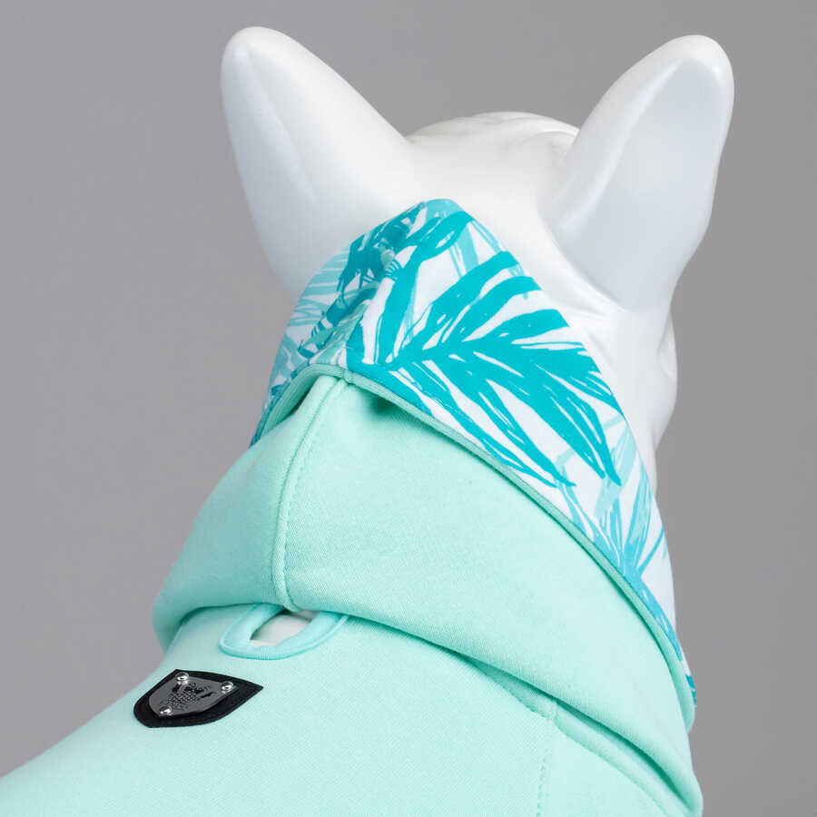 Mint Green Küçük, Orta ve Büyük Irk Köpek Sweatshirt