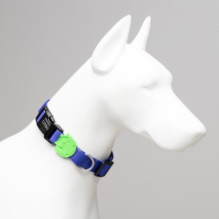 Lindodogs - Monster Boyun Tasması (1)