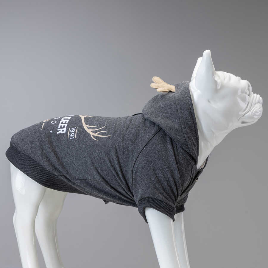 North Deer Antrasit Küçük ve Orta Irk Köpek Sweatshirt