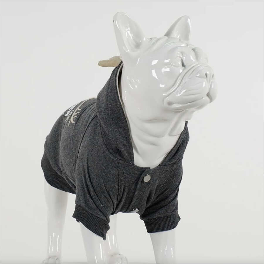 North Deer Antrasit Küçük ve Orta Irk Köpek Sweatshirt