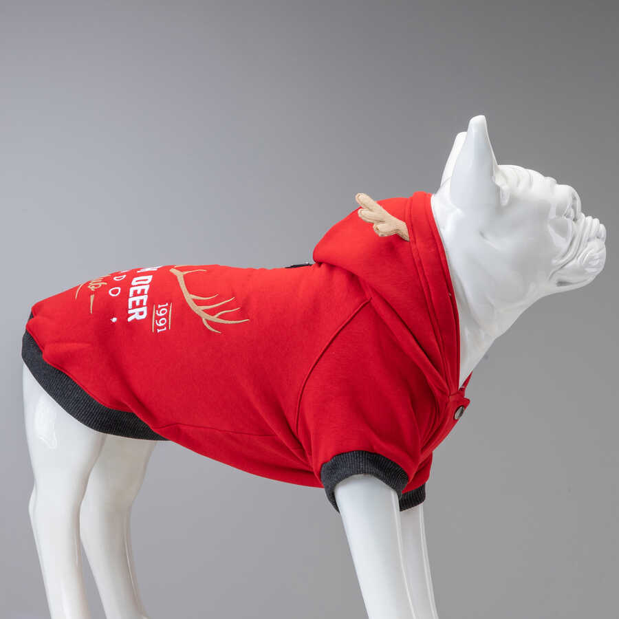 North Deer Kırmızı Küçük ve Orta Irk Köpek Sweatshirt