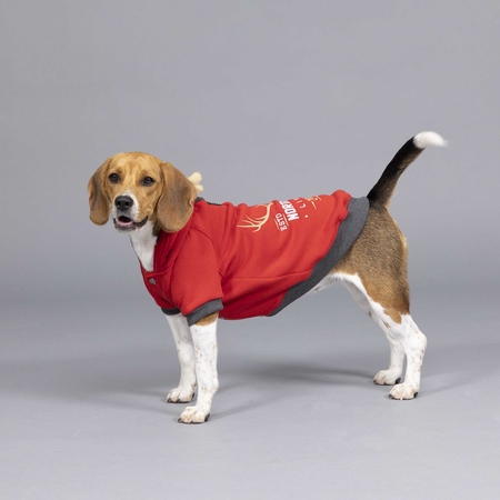 Lindodogs - North Deer Kırmızı Küçük ve Orta Irk Köpek Sweatshirt (1) Lindodogs - North Deer Kırmızı Küçük ve Orta Irk Köpek Sweatshirt (1)