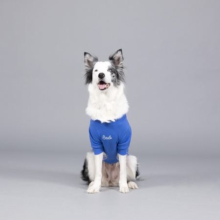 Lindodogs - On The Clouds Flex Body (1) Lindodogs - On The Clouds Flex Body (1)