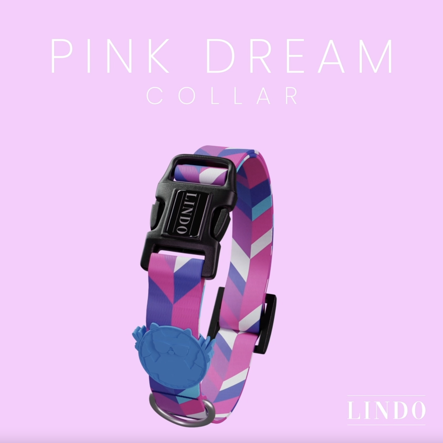 Pink Dream Collar