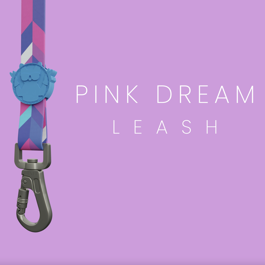 Pink Dream Gezdirme Tasması