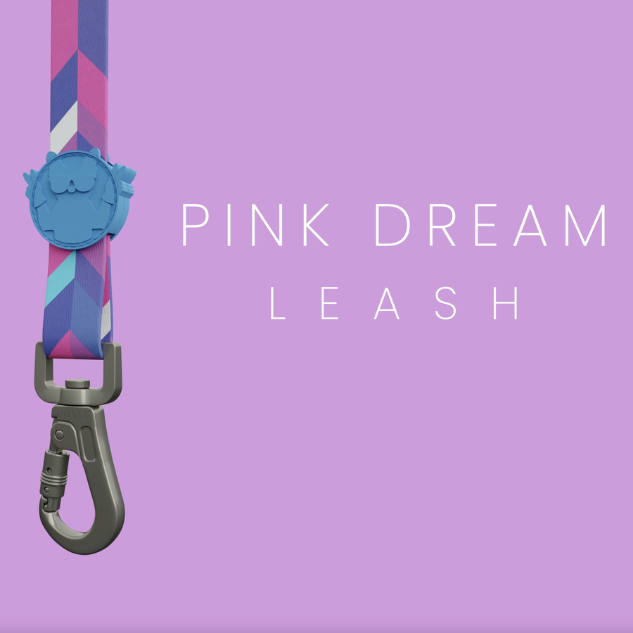 Pink Dream Leash