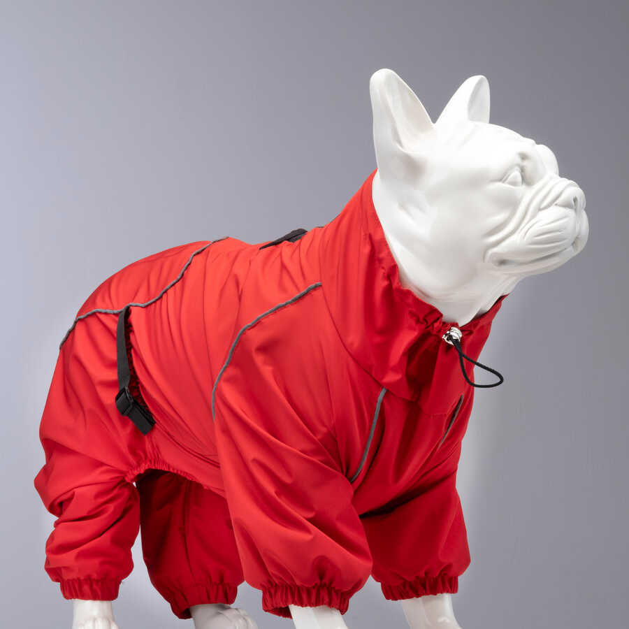 Quattro Nova Dog Raincoat