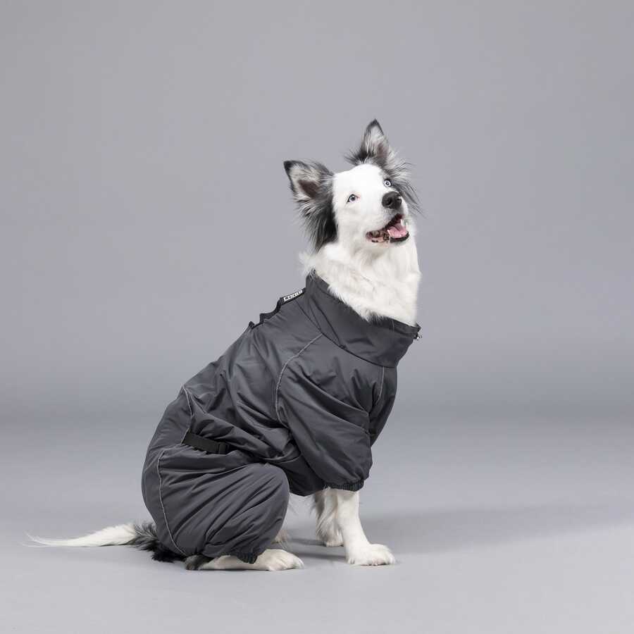 Quattro Void Dog Raincoat