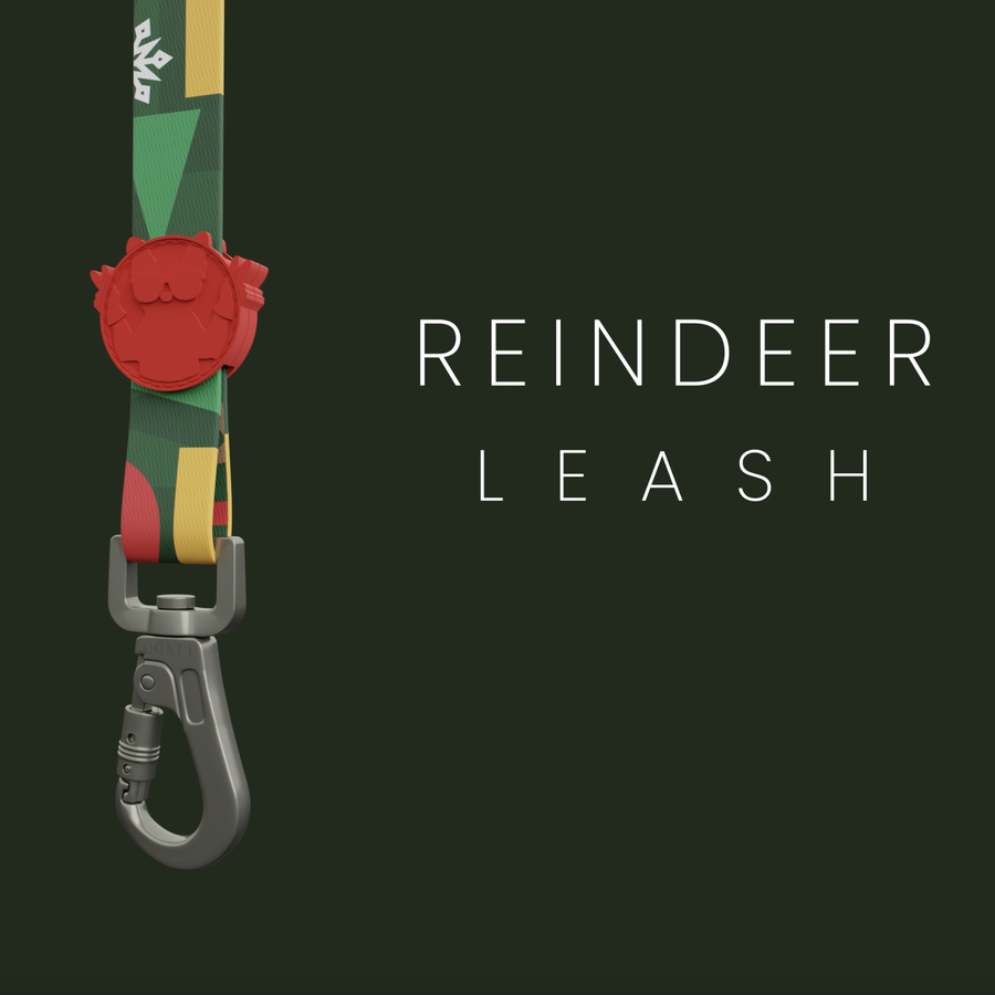 Reindeer Leash
