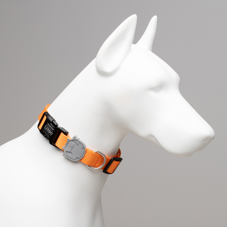 Lindodogs - Royal Boyun Tasması (1)