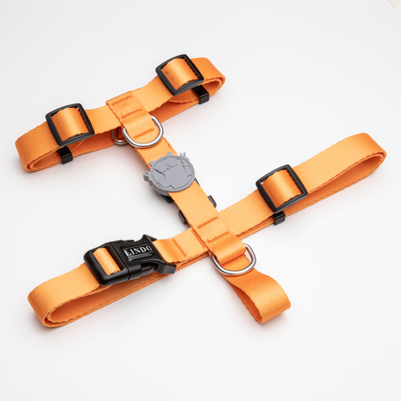 Lindodogs - Royal H Tipi Göğüs Tasması Lindodogs - Royal H Tipi Göğüs Tasması