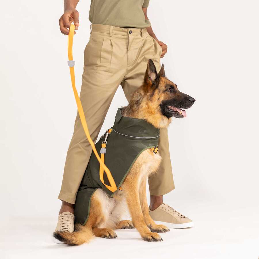 Softshell Army Green Küçük,Orta ve Büyük Irk Köpek Yağmurluğu