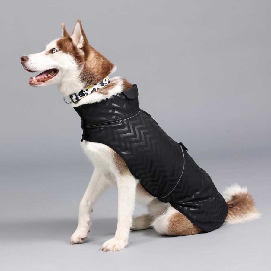 Softshell Black Stripe Küçük,Orta ve Büyük Irk Köpek Yağmurluğu