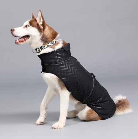 Lindodogs - Softshell Black Stripe Küçük,Orta ve Büyük Irk Köpek Yağmurluğu (1) Lindodogs - Softshell Black Stripe Küçük,Orta ve Büyük Irk Köpek Yağmurluğu (1)