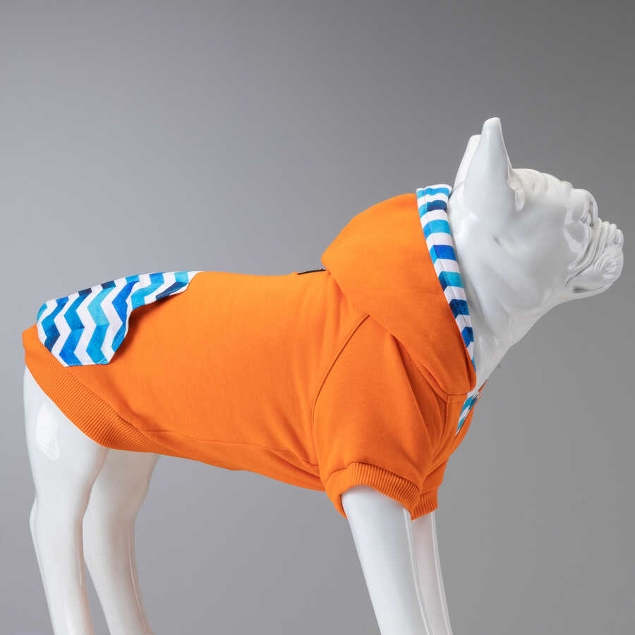 Sydney Küçük, Orta ve Büyük Irk Köpek Sweatshirt