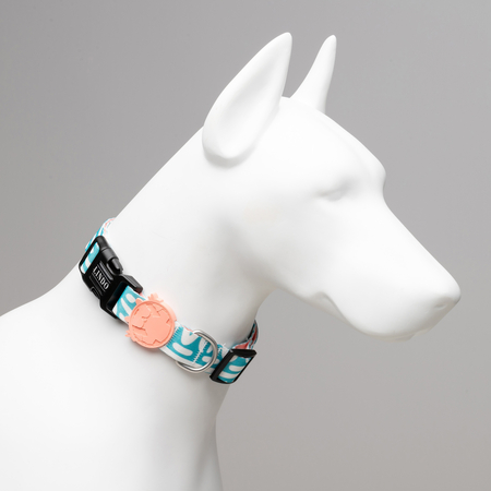 Lindodogs - Touch Boyun Tasması (1)