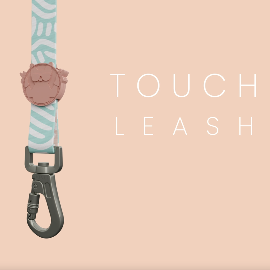 Touch Leash