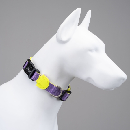 Lindodogs - Urban Glow Purple Boyun Tasması Lindodogs - Urban Glow Purple Boyun Tasması